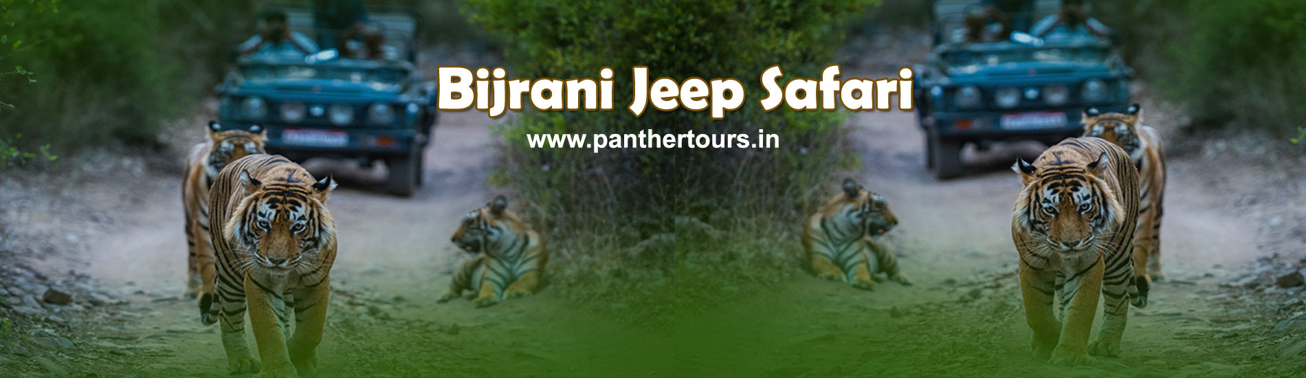 Bijrani Jeep Safari zone