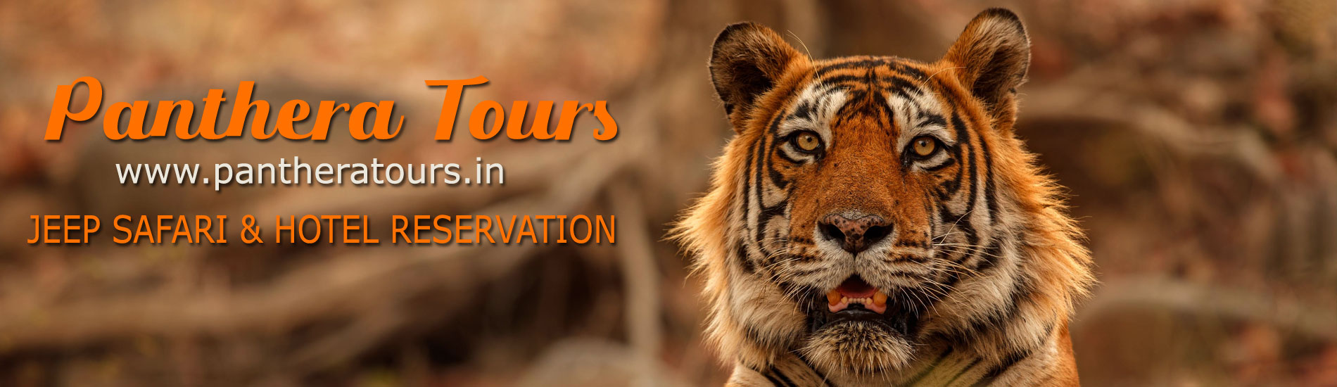 Pantera Tours Jim Corbett