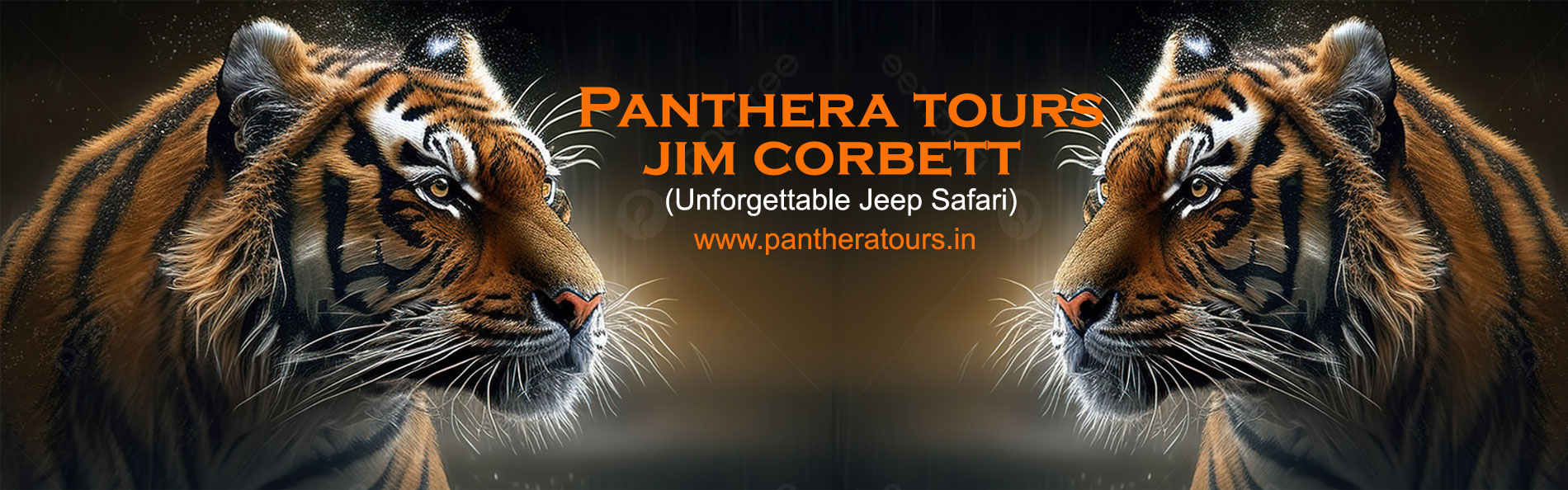 Panthera Tours