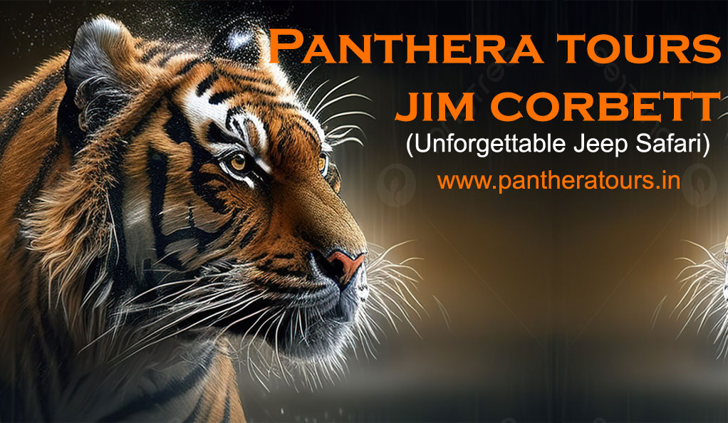 Panthera Tours Mobile Banner