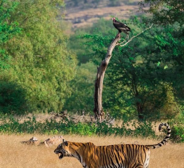 5b2218266a1cde7caf583b97d9c3e88e