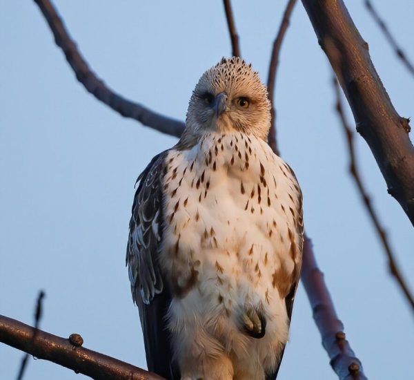 WhatsApp Image 2026-01-02 at 8.46.49 PM