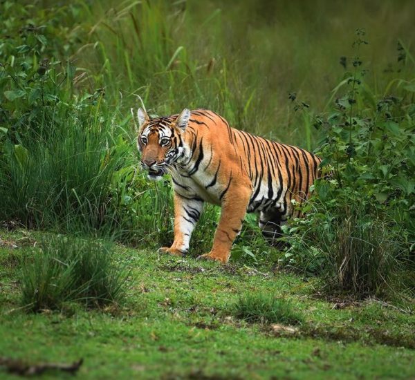 b4ec1fe96d27de99f92012cba76ec0bb